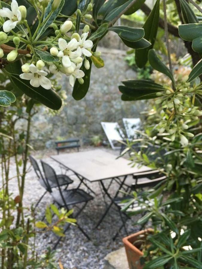 Il Nido - By The Sea - Ac Apartment Monterosso al Mare Exterior foto
